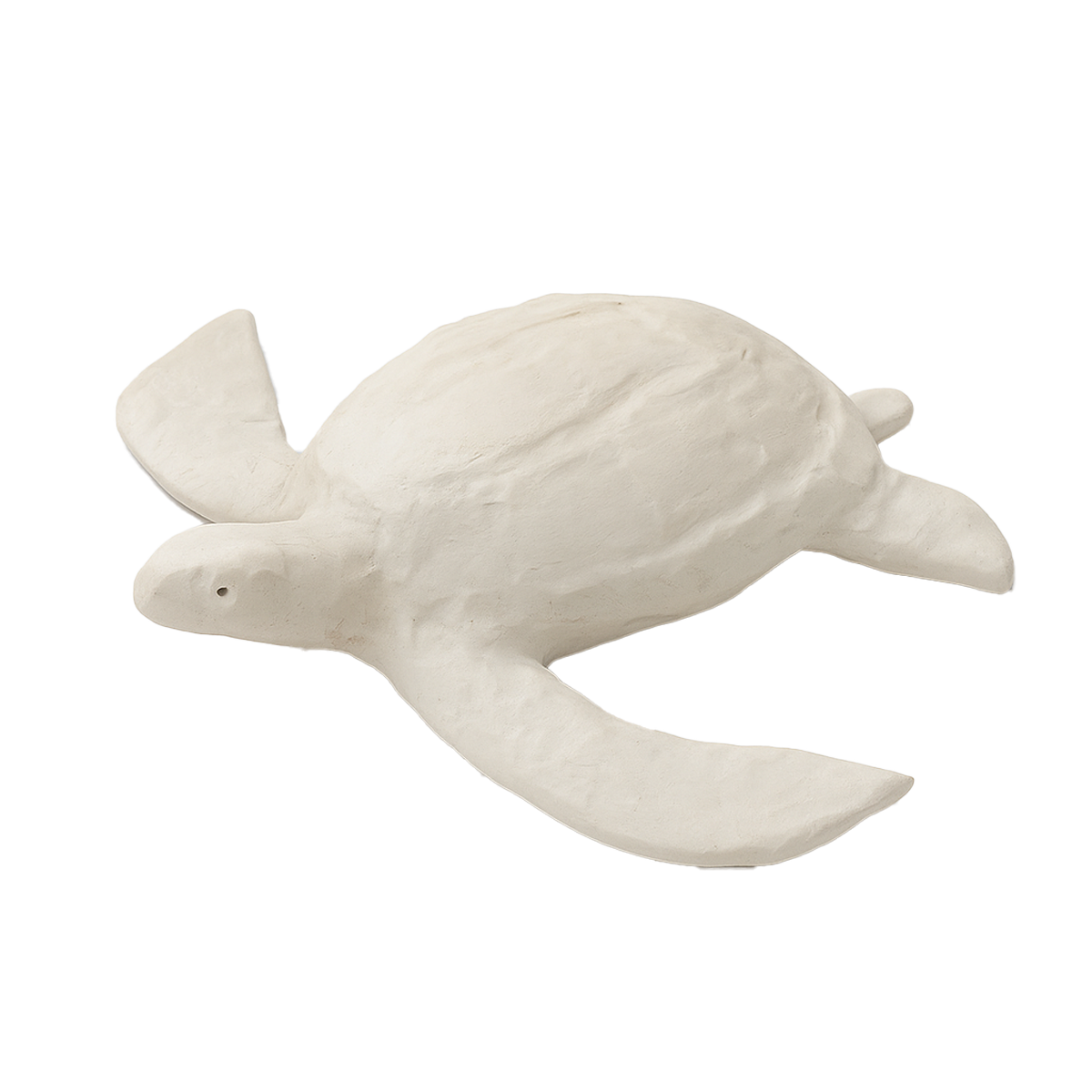 AUPBPTNMini-PaperTurtleDUNEMini